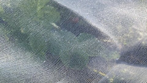 UNADJUSTEDNONRAW_thumb_1831