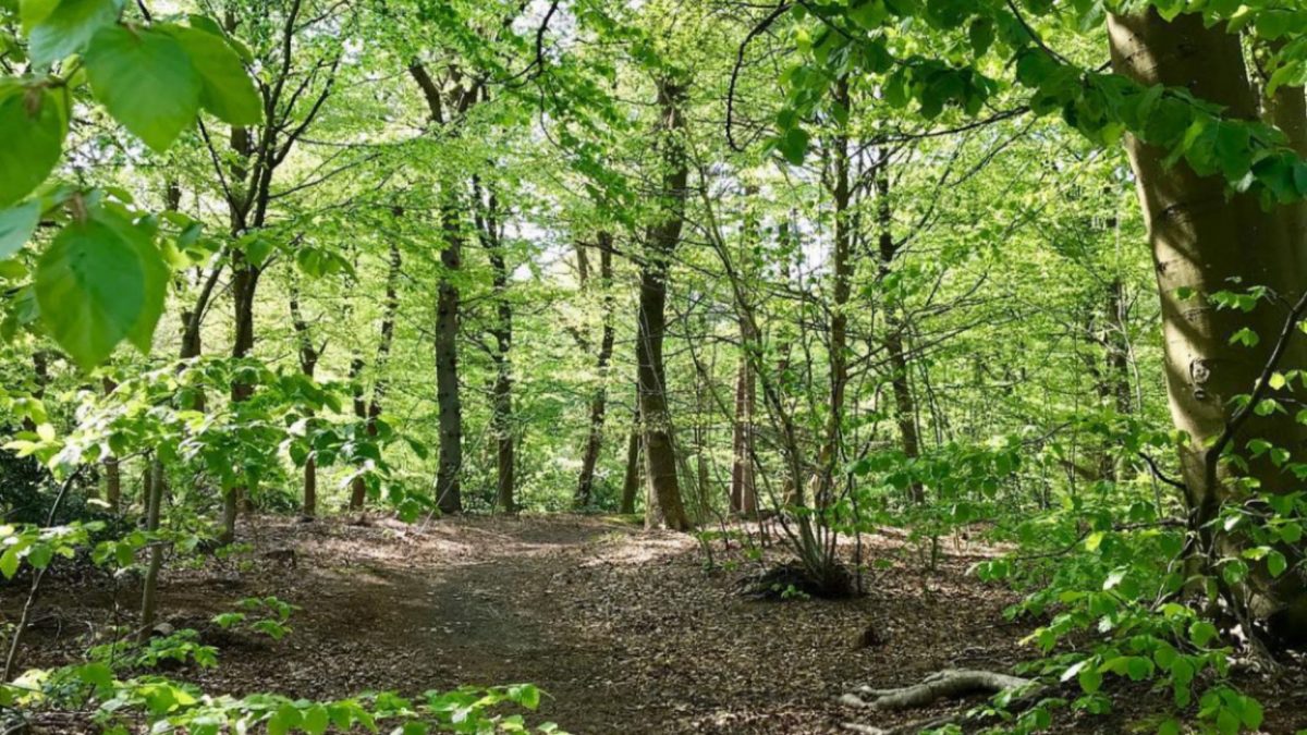 Gåture i naturen heler